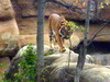 DSCN3530.JPG