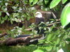 DSCN3532.JPG