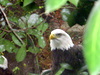 DSCN3533.JPG