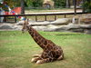 DSCN3534.JPG