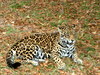 DSCN3536.JPG