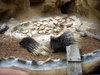 DSCN3539.JPG