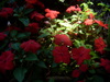DSCN5014.JPG