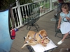 DSCN0466.JPG