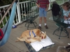 DSCN0467.JPG