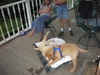 DSCN0469.JPG