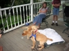 DSCN0470.JPG