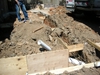 DSCN2101.JPG