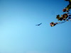 DSCN3487.JPG