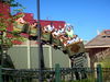 DSCN3523.JPG