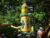 DSCN3525.JPG