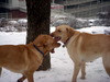 DSCN4064.JPG