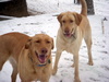 DSCN4065.JPG