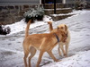 DSCN4075.JPG