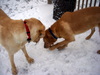 DSCN4076.JPG