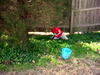 DSCN4257.JPG