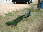 dscn1488.jpg
