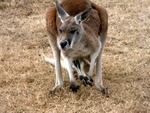dscn1492.jpg