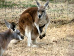 dscn1493.jpg