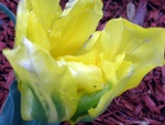 dscn1684.jpg