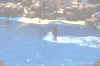 DCP_0403.JPG (326203 bytes)