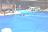 DCP_0409.JPG (384636 bytes)