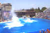 DCP_0411.JPG (455516 bytes)
