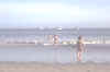 DCP_0412.JPG (300254 bytes)