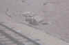 DCP_0459.JPG (426723 bytes)