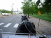 DSCN2173.JPG