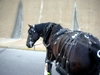 DSCN2178.JPG