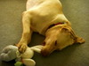 DSCN2783.JPG