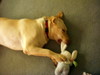 DSCN2784.JPG