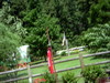 DSCN4753.JPG