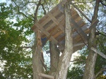 dscn6789.jpg