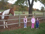 dscn6878.jpg