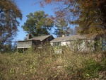 dscn6965.jpg