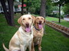 DSCN0024.JPG